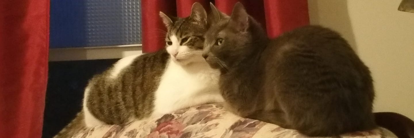 @ravenblackthorne banner