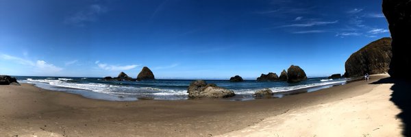 taylorbell Profile Banner