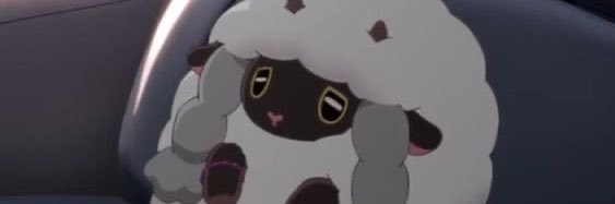 year of pheebz banner