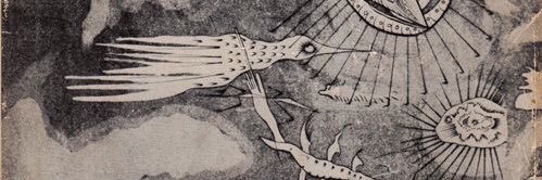 lilAnaisNin's profile banner image