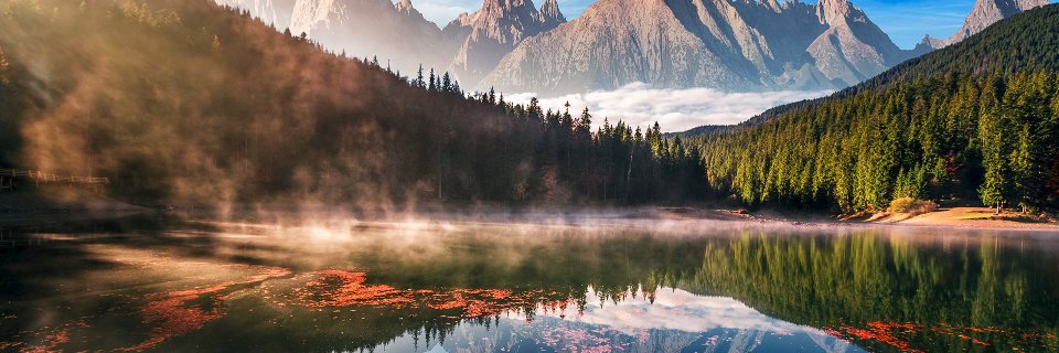 MikePellinni's profile banner image