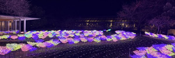 ao_asul Profile Banner