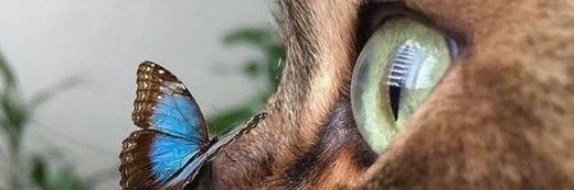 MagaliAntica's profile banner image