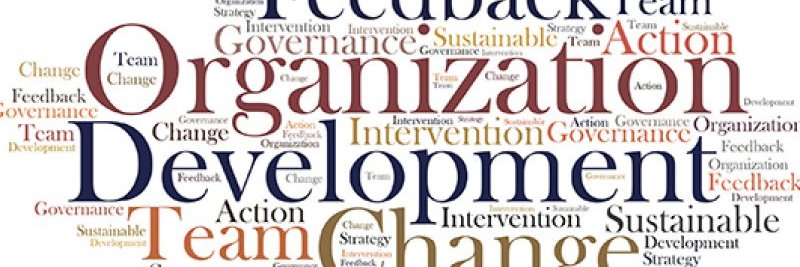 Learning & Organisational Development@PAHT banner