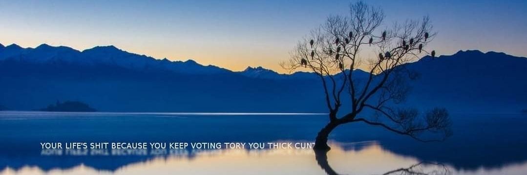 Shapps banner