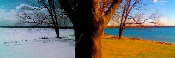 bendband's profile banner image