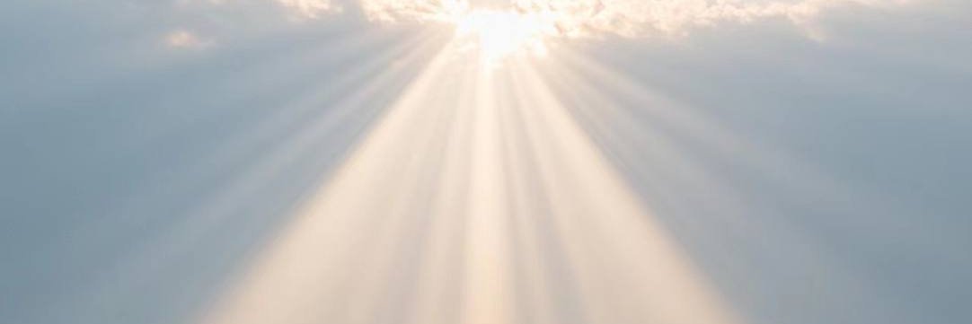 招商淼淼 banner