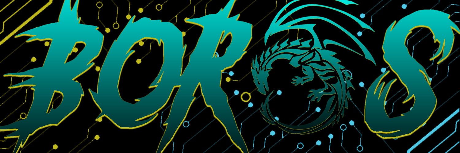 boros____'s profile banner image