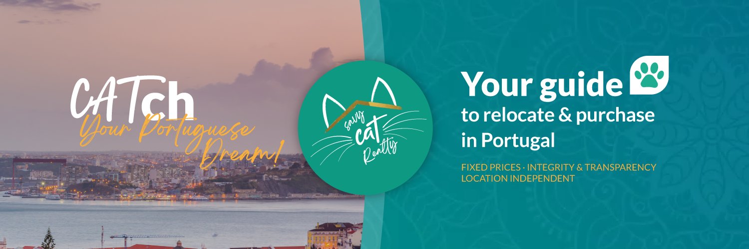 Savvy Cat Realty banner