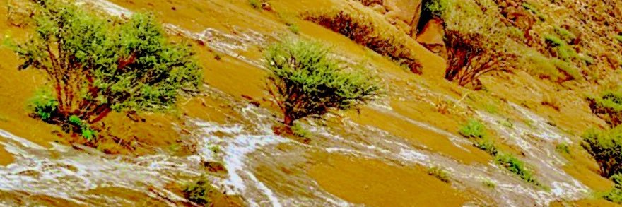 محمد علي خشيل banner