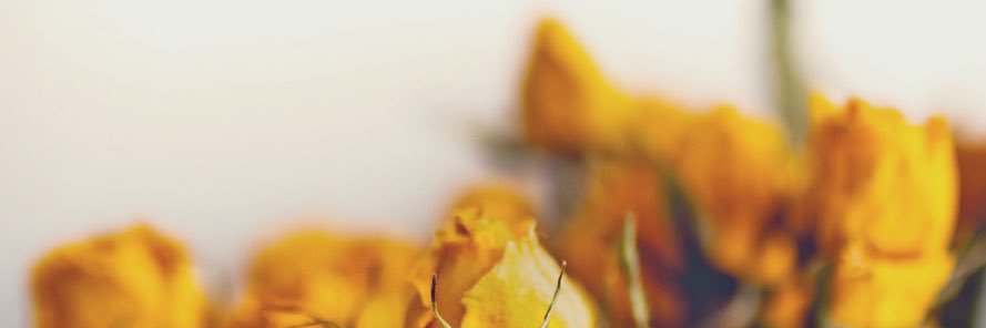 n. banner