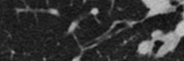 gdhugo Profile Banner