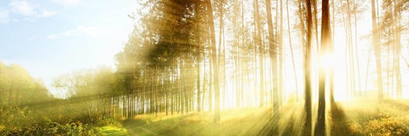 Darrin J. Gibbs H. banner