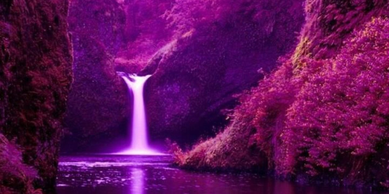 CarolaRayodeSol's profile banner image