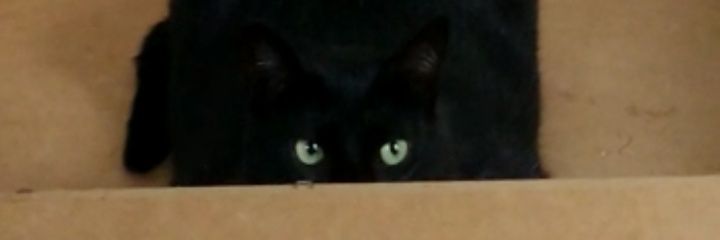 BarbyMaar's profile banner image