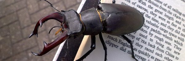 RedriffPress Profile Banner
