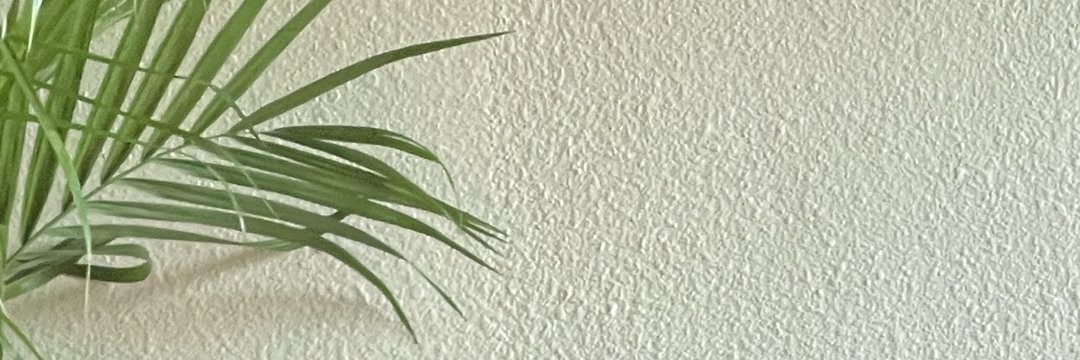 anthonyquero's profile banner image