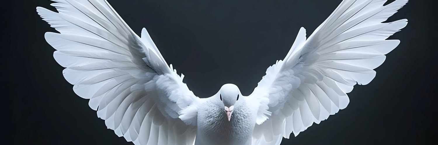 ChumaBenedict's profile banner image