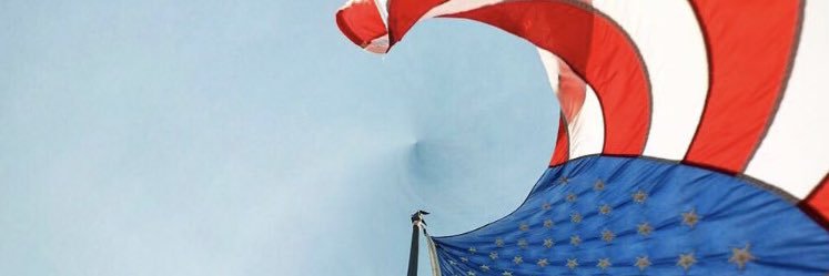 Agnes Chaplin banner