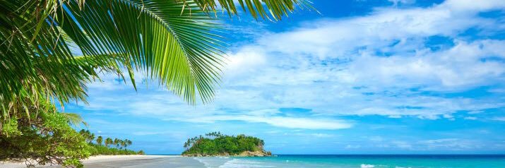 Lãng Du 🌊 Wave banner