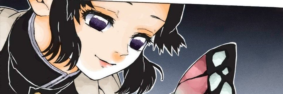 shinobu pics banner