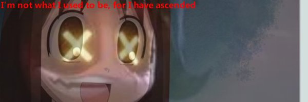 DiddlyDooter Profile Banner