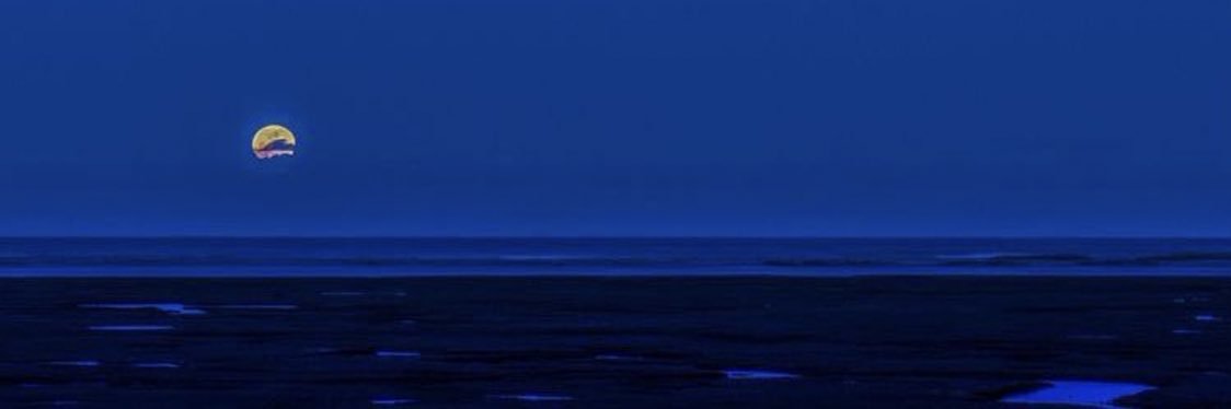 nau4ii's profile banner image