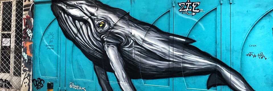 Gabriela Anaya banner