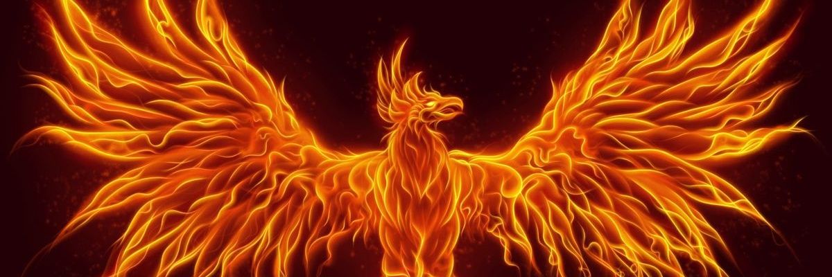 ferrante_pie's profile banner image
