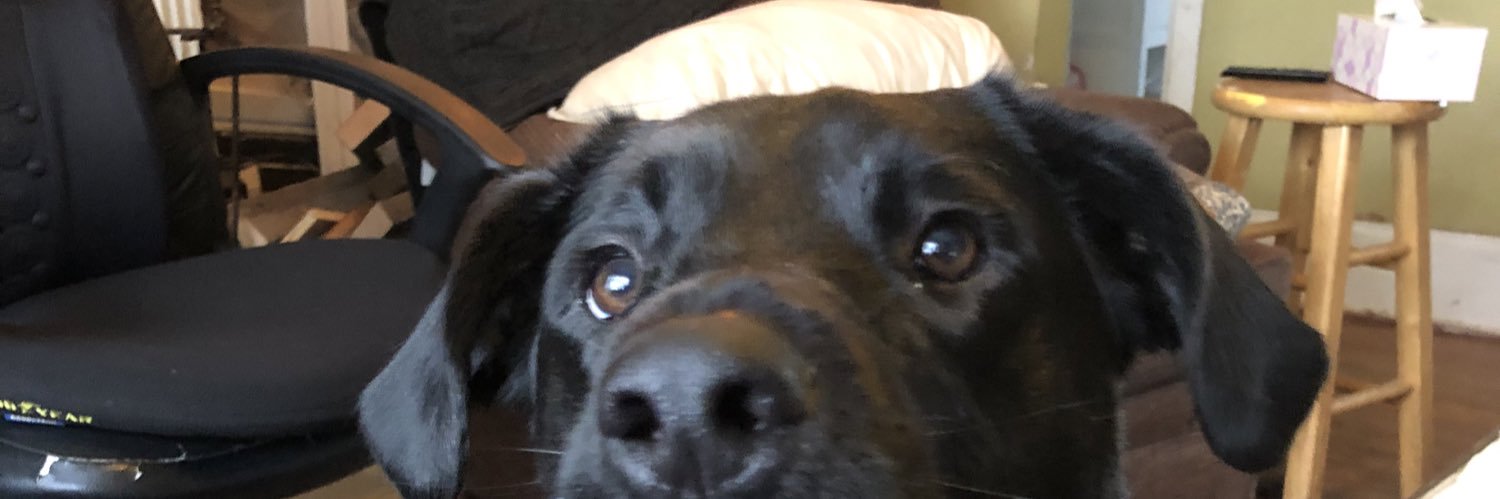 Pat_Conway98's profile banner image