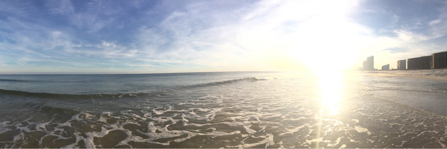 suzanneelise22's profile banner image