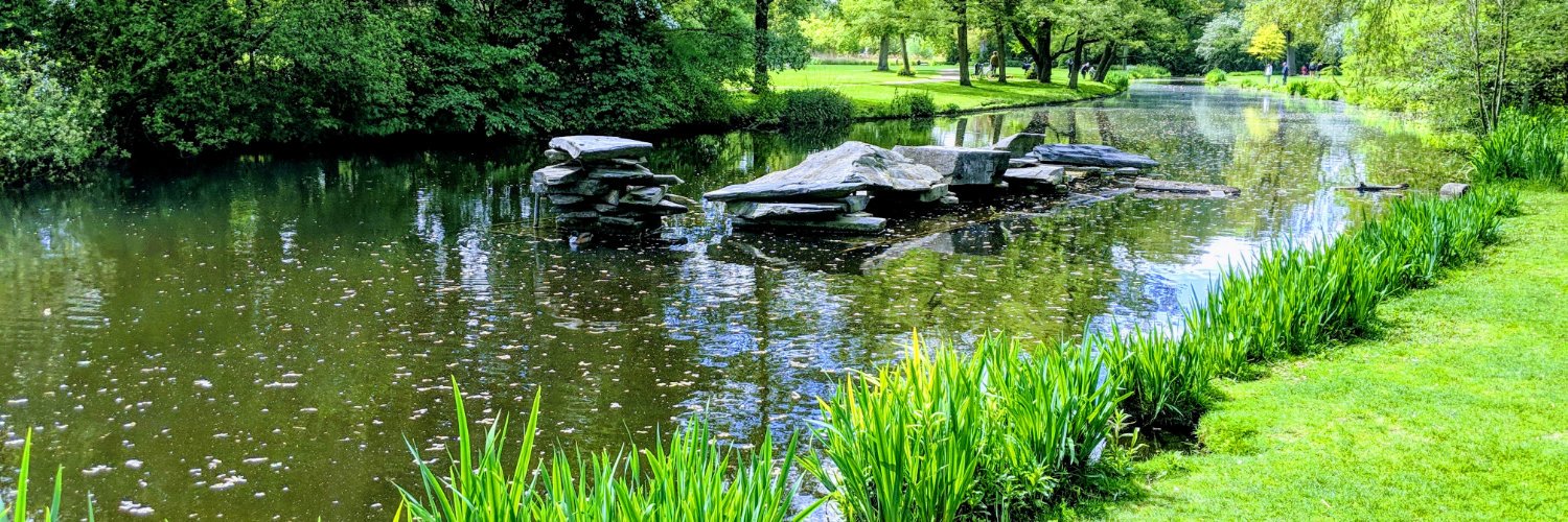 Darrell Malone Jr. banner