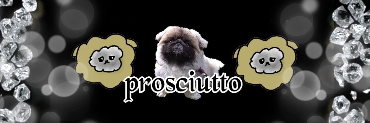 🍔ぷろしゅーと🍟 banner