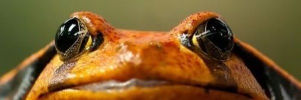 SBaggaid Profile Banner