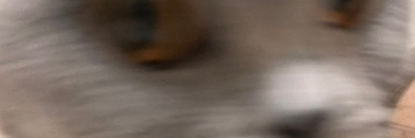 m_wss_m Profile Banner