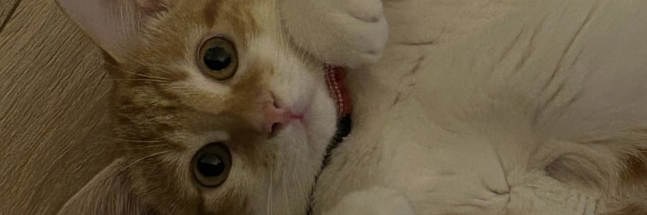 sstarb0i's profile banner image