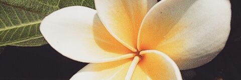 NoorDaud05's profile banner image