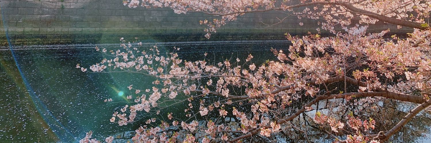 Yumigami's profile banner image