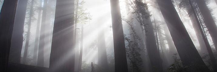roggermissi's profile banner image
