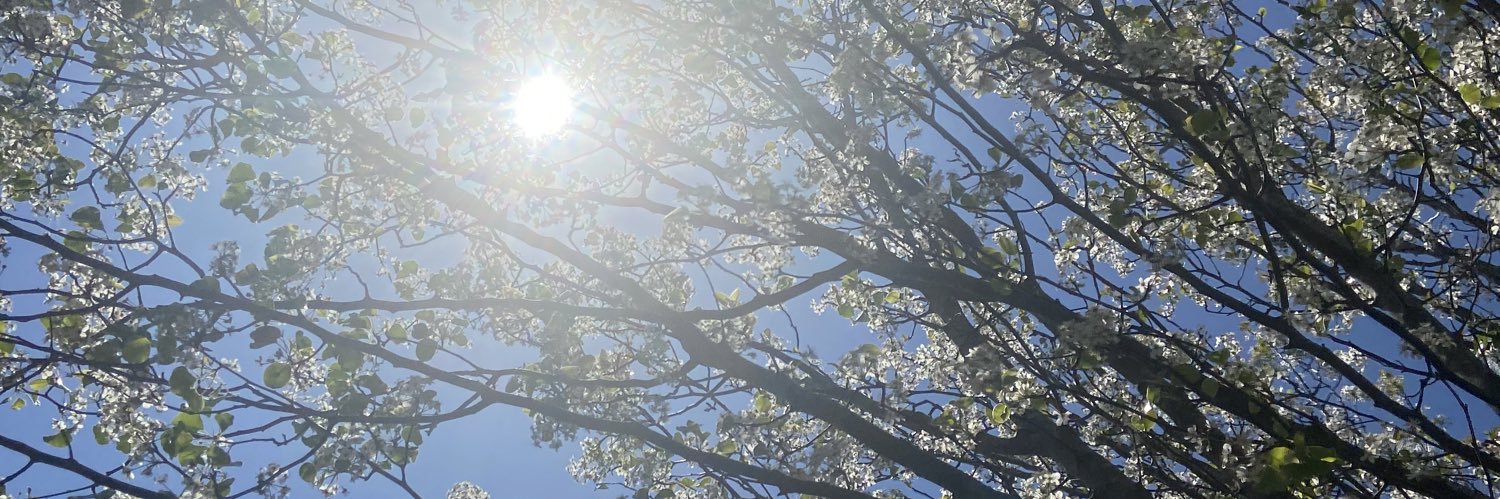 LynsiElizabeth's profile banner image
