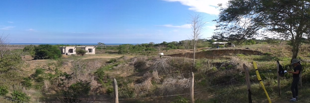 TopoCanela's profile banner image