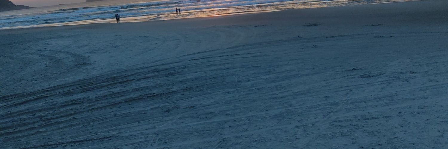 mvinee_'s profile banner image