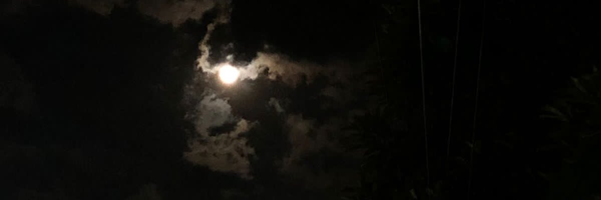 R banner