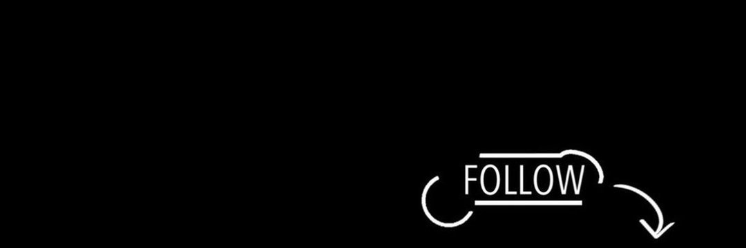 Lisa Crypto banner