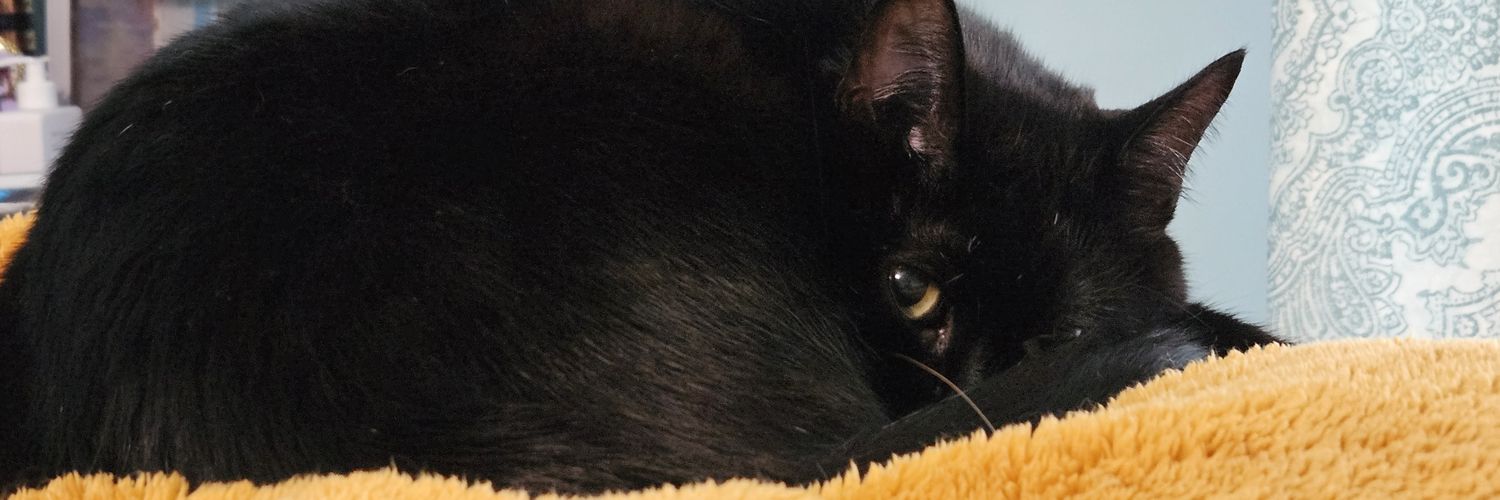 EvieLadySam's profile banner image