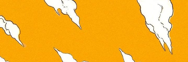 ElMazorcañon banner