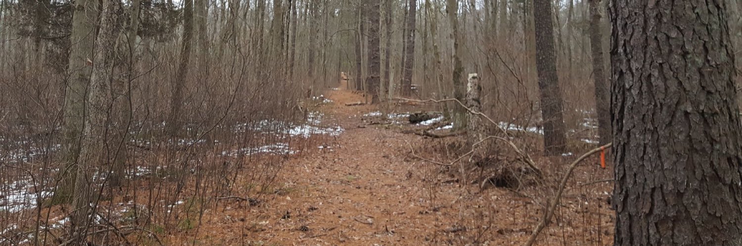 thepathmovie's profile banner image