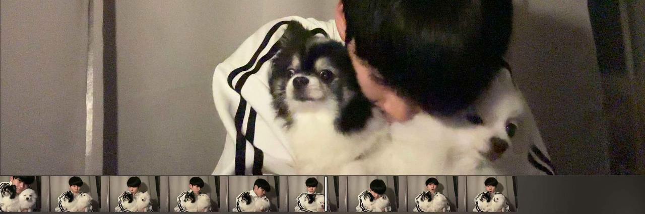 ʚ 𝅄 ֹ nαnααAααAααα ࣪˖⁩ 🐰 ⊹ ୨୧!: banner