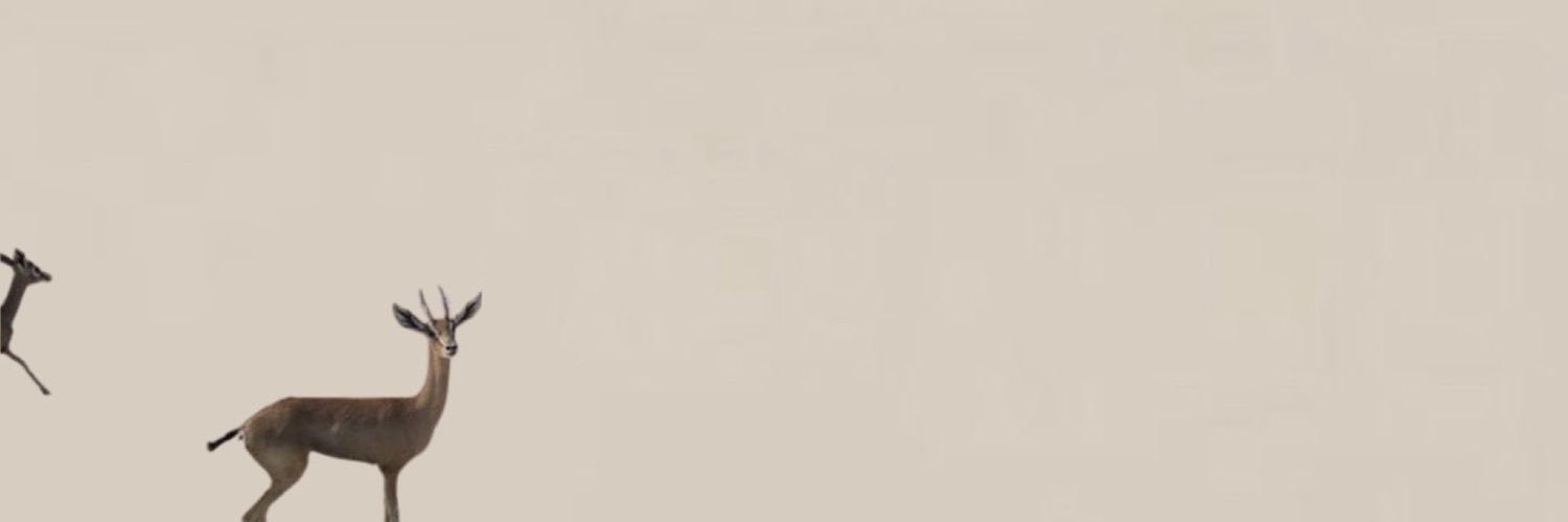 ll__2v's profile banner image