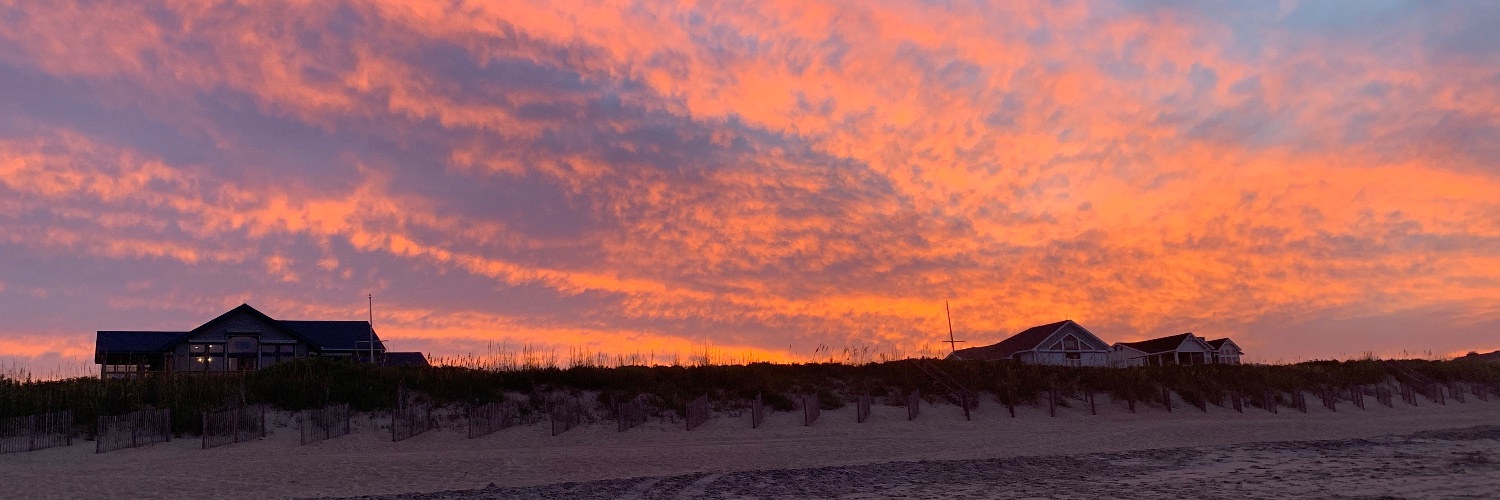 Chris Fields, @cjfields.bsky.social banner